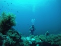 Relitto Vaporetto (Sardegna)