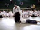 Aikido - Wagner Bull Sensei 3