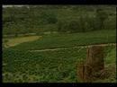 huila3