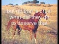 save horses from slaughterhouse
