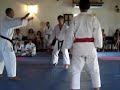 ISKF-JKA Venezuela, Clasification for PanAmerican Karate 07