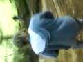 videos de Steve Irwin Aoe Creatures [Part 3]
