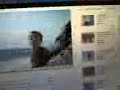 my screen (03082008.3gp)