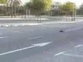 Vinesh Traxxas Rustler VXL
