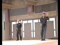 Bujinkan Budo Taijutsu Japon