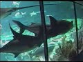 Oceanarium of Ocean Park Hong Kong II ?????????2(????????) Oceanarium of Ocean Park Hong Kong II ?????????2(????????)