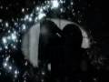 Madonna - Superpop 2009 (hozocsa videomix)