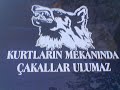ozleyecegim_zalim@hotmail.com