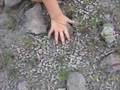 AIG Creation Museum refuted by fossils below museum pt.1of 2