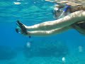 Snorkeling in the red sea with DryFoto waterproof case
