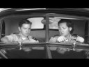 Venusian Beauties Venusian Beauties