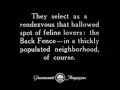 Feline Follies - Felix the Cat