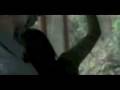 videos de Decode (Paramore) - Edward and Bella Twilight Music Video v3.flv