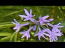 How can one find truth?    Video 5