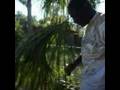 videos de The Three Haitians pt 2.avi