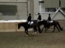 AQHA All Around Gelding for Sale