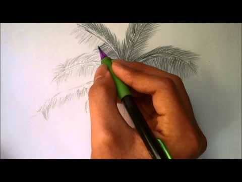 how to draw palm trees