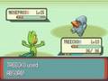 videos de Pokemon Emerald: First Badge