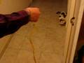 MVI_6335.AVI
