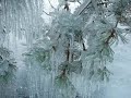 Ultima Thule - Videvik