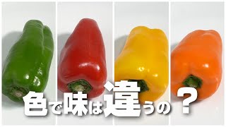 緑、赤、黄、橙、カラーピーマンは色で味も違うのか検証してみたら意外