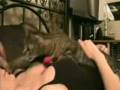 videos de A Man,Vs Pussy Vs Breastmilk