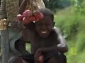 Gorilla Tourism Gorilla Tourism