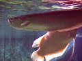 co_ex aquarium in seoul