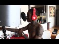 Soulja Boy Ft. Diamond - Remix (Music Video)