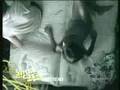 DIme que te Paso - Wisin y Yandel