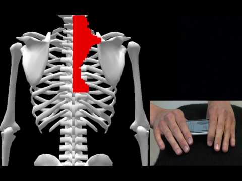 how to measure cervical curve on x-ray
