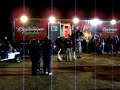 Budweiser Clydesdale Horses Budweiser Clydesdale Horses