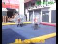 videos de Bumper ball