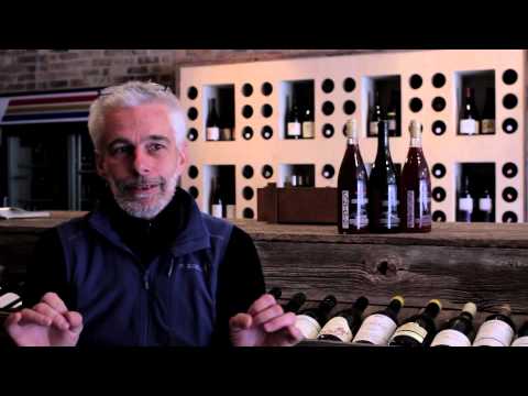 how to harvest yeast from a fermenter