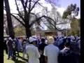 Nagar Kirtan - Melbourne 14 of 14