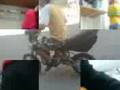 videos de CrossMan-Astritis-Biker !!!
