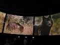 I need one these at home. Hosted by Martin Short, this shows what Canada is all about on a 360 degree film. Sorry my video may cause dizziness lol.