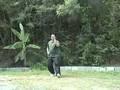 Free Lesson: 10. Deflect, Parry, and Punch- Wu Tai Chi