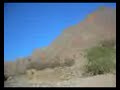 القناص الداعري.wmv