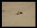 Formula OffRoad Rc FC07 comp2 unlimited