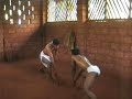 Kerala Kalarippayattu Academy