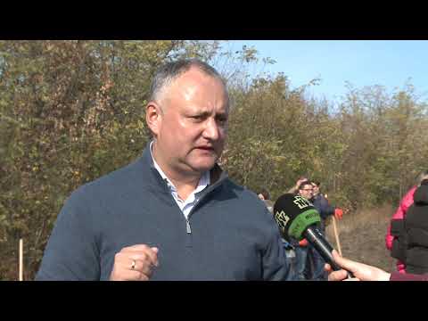 Глава государства вместе с семьей и аппаратом президента приняли участие в общенациональной акции «Древо нашего долголетия»