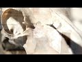 Pig Iron - Ben Myers