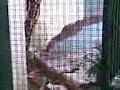 Explosi�n de Bomba de Agua 2