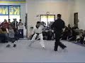 More Kung Fu San Soo