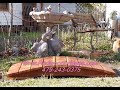 Garden Bridges Home and Garden woodcrafts Garden Bridges Home and Garden woodcrafts