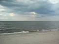 Lewes Beach Dolphins