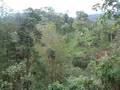 videos de Canopy Mindo Ecuador Tebi, Tochi, Vice