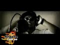 Bee Hive Riddim - Various Artists - DJ_JaMzZ Bee Hive Riddim - Various Artists - DJ_JaMzZ