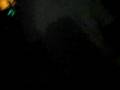 videos de Gurizada na Exodus